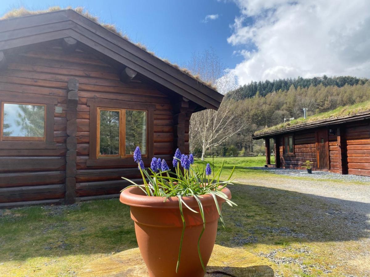 Log Home Village Ulverston Exterior foto